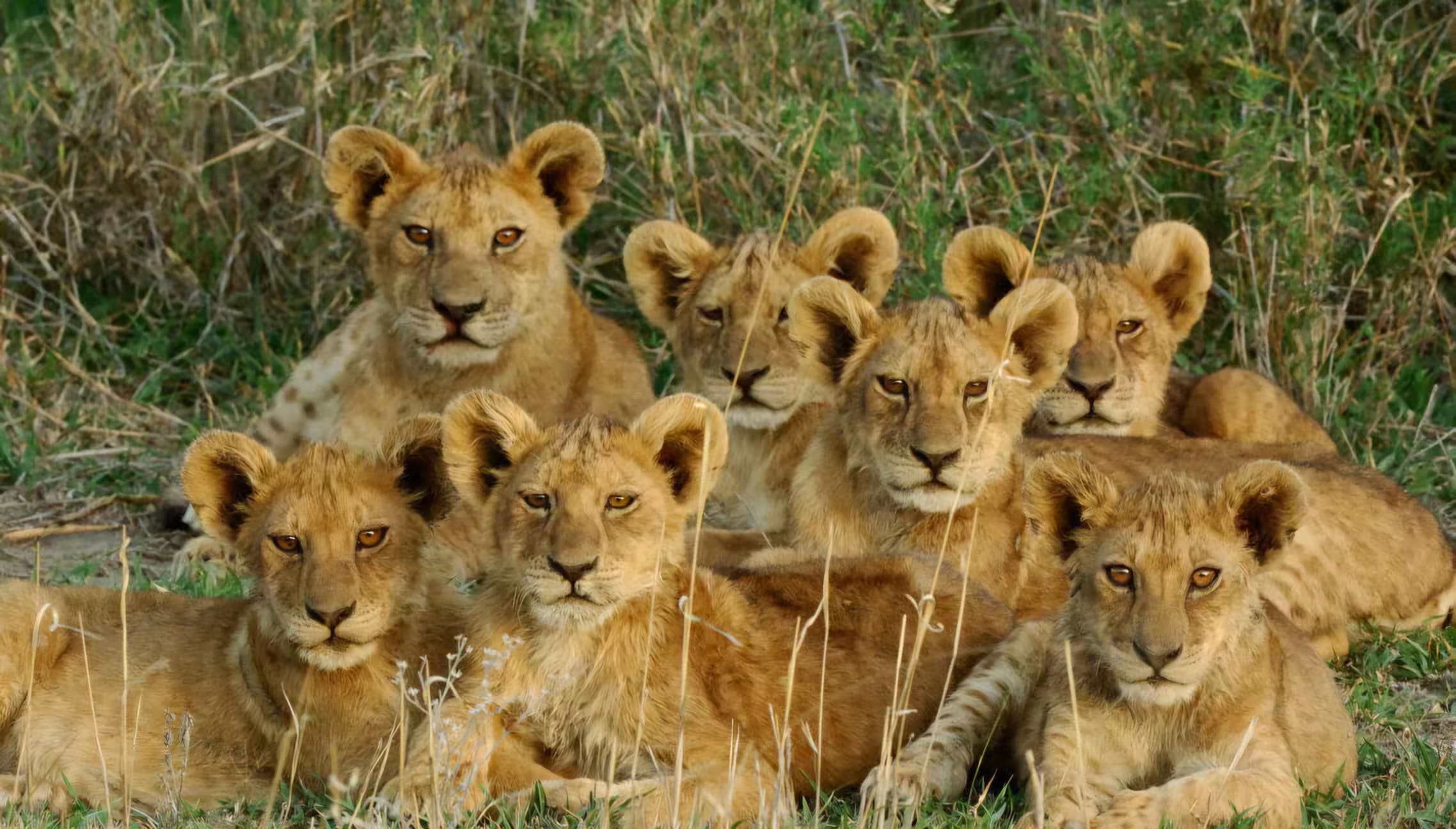 Serengeti National Park