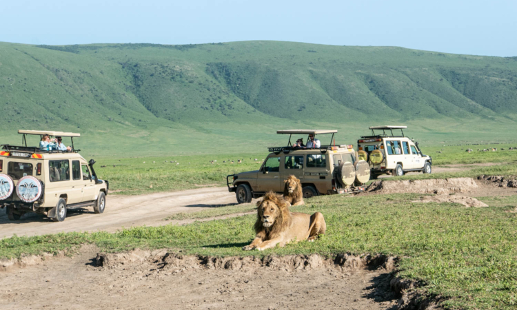 7 Day Tanzania Luxury Wildlife Safari